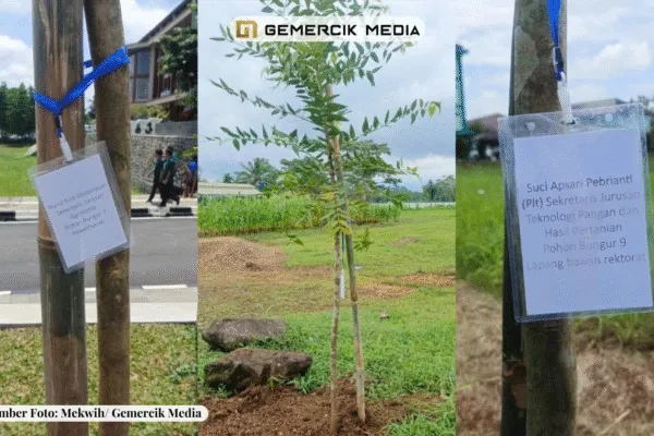 Sumber Foto JohnGemercik Media 20251111 133850 0000