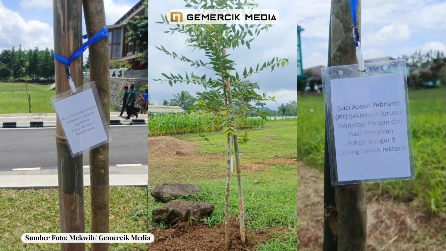 Sumber Foto JohnGemercik Media 20251111 133850 0000